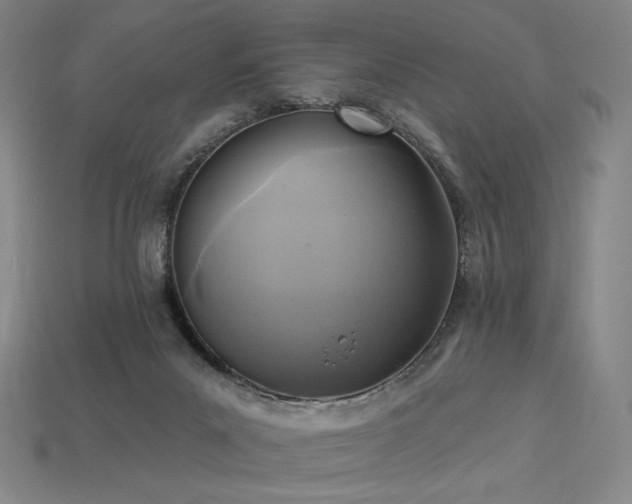 X0000113960023200909251410