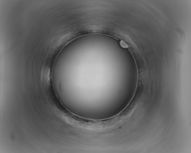 X0000113960024200909251410