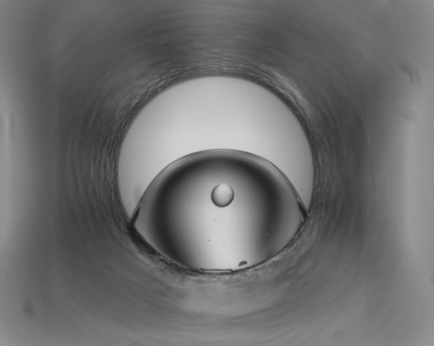 X0000113960025200909251410