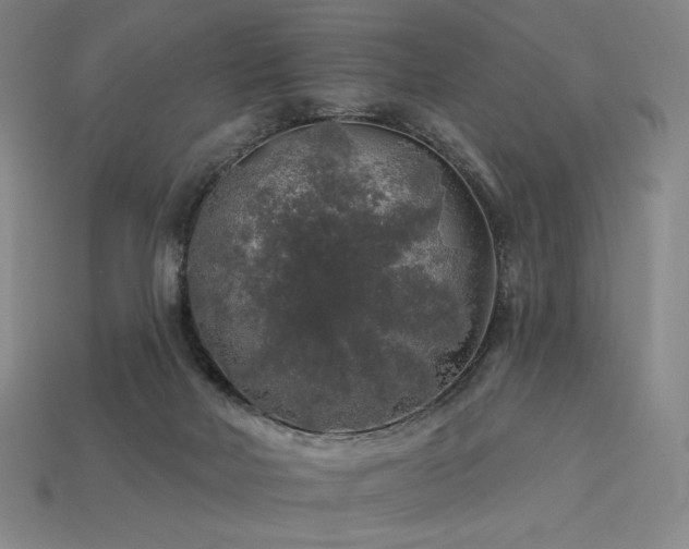 X0000113960026200909251410