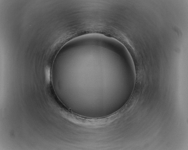 X0000113960027200909251410