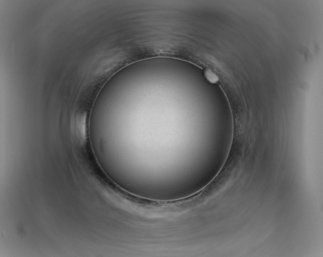 X0000113960028200909251410