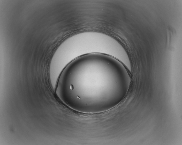 X0000113960029200909251410