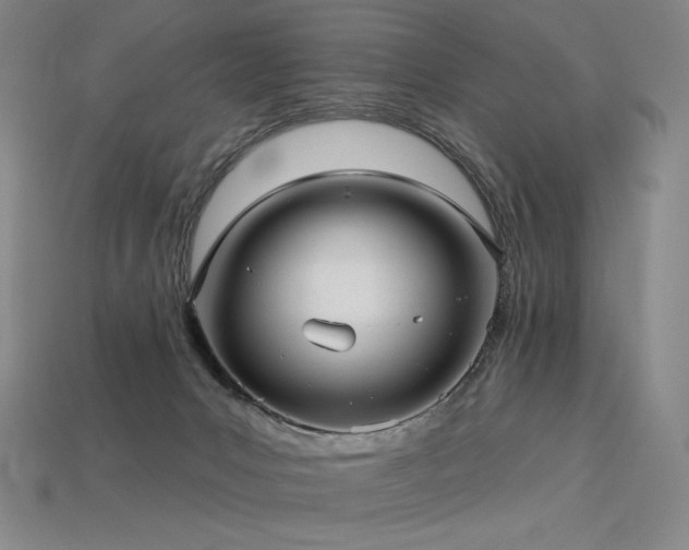 X0000113960031200909251410