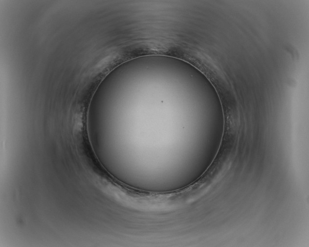 X0000113960032200909251410