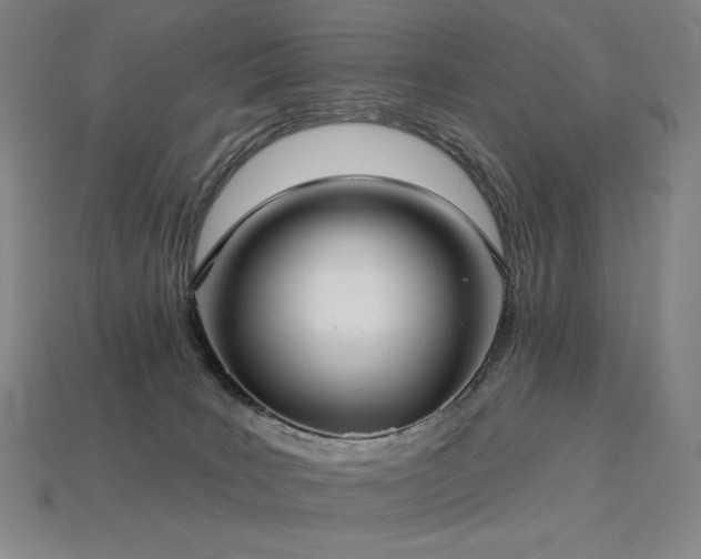 X0000113960035200909251410