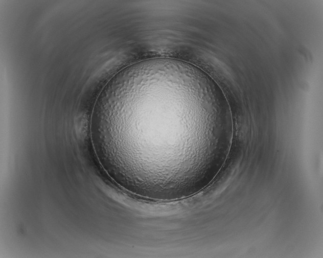 X0000113960036200909251410