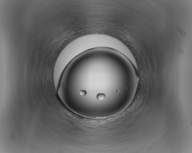 X0000113960037200909251410