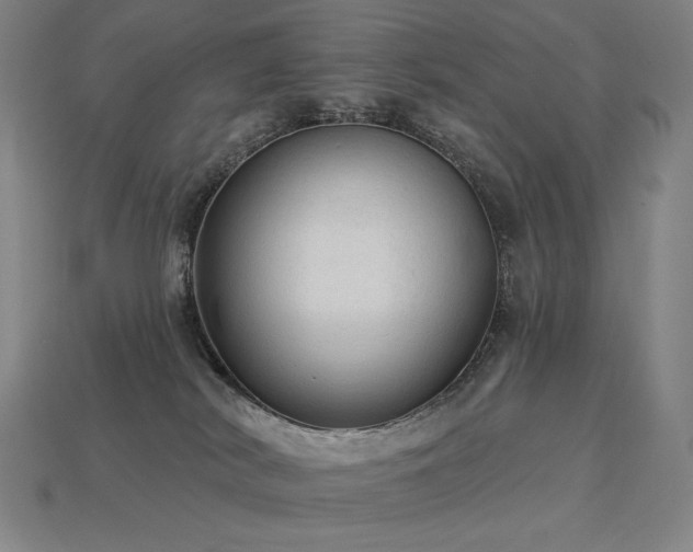 X0000113960038200909251410