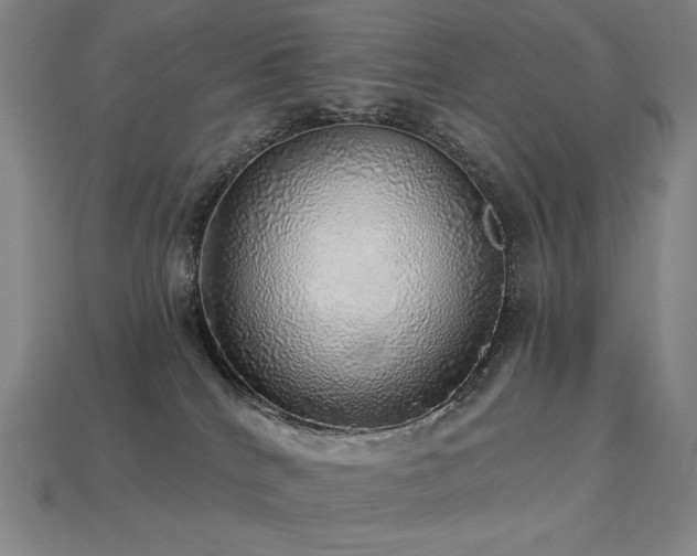 X0000113960040200909251410