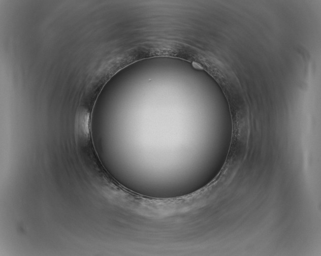 X0000113960041200909251410