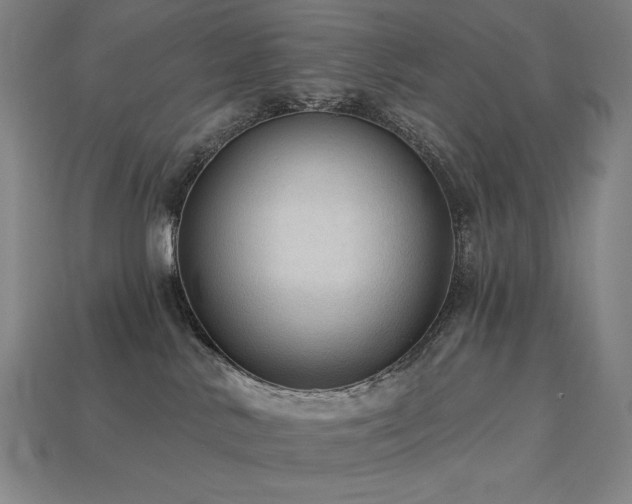 X0000113960042200909251410