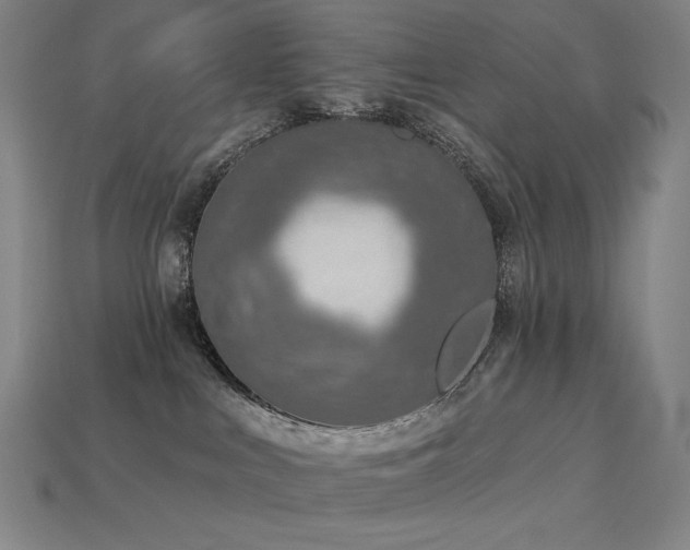 X0000113960043200909251410