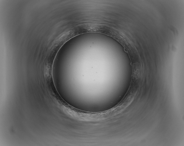 X0000113960044200909251410