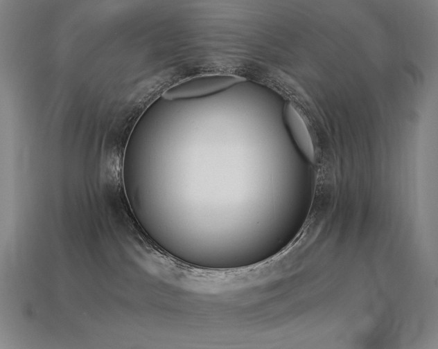 X0000113960045200909251410