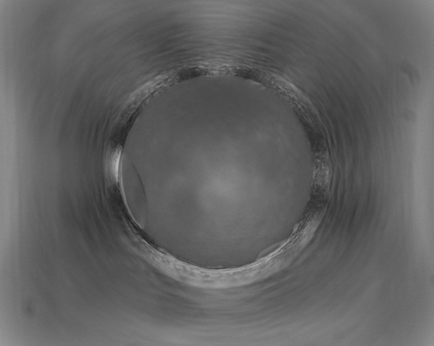 X0000113960047200909251410