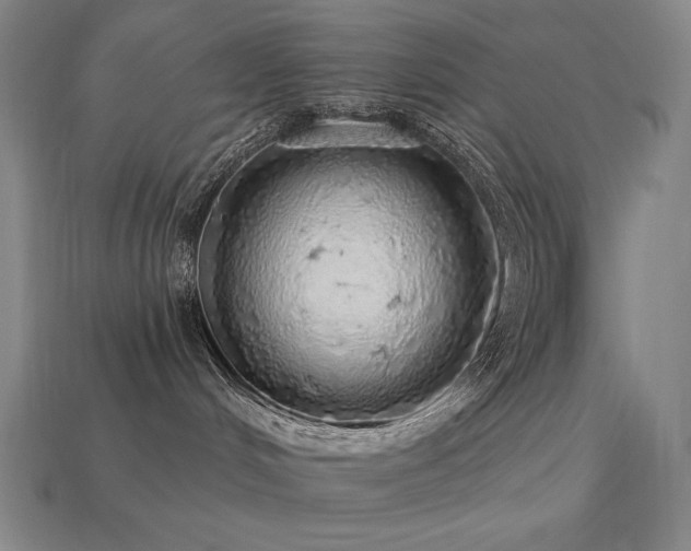 X0000113960048200909251410