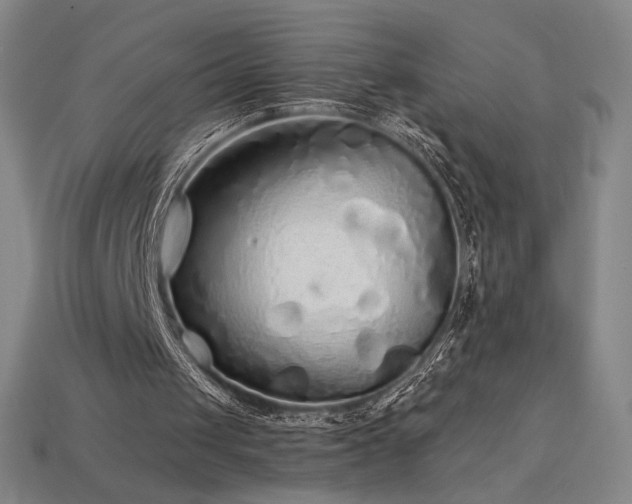 X0000113960049200909251409