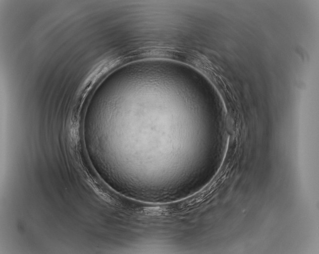 X0000113960050200909251409