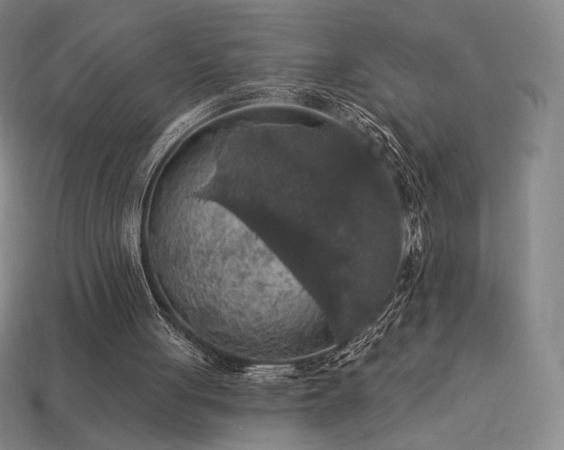 X0000113960051200909251409