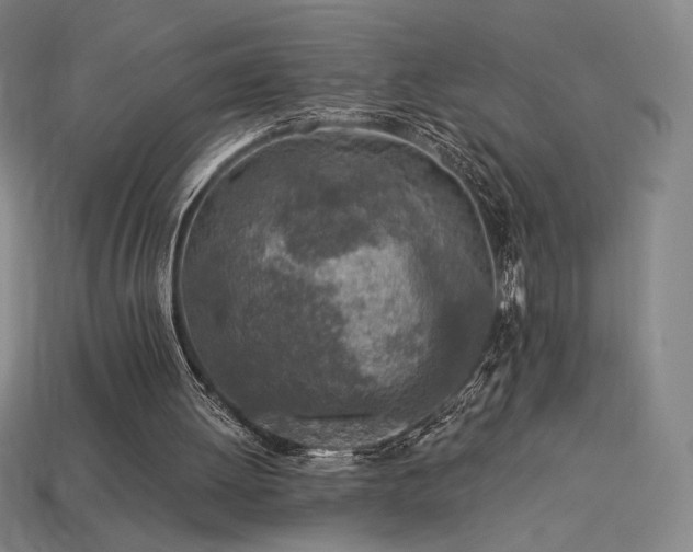 X0000113960052200909251409