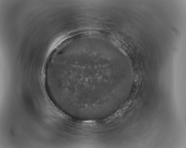 X0000113960053200909251409