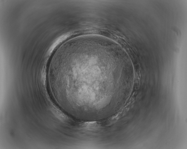 X0000113960054200909251409