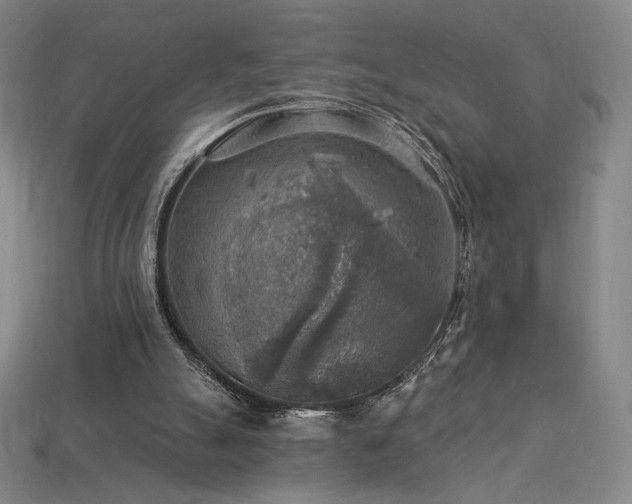 X0000113960055200909251409