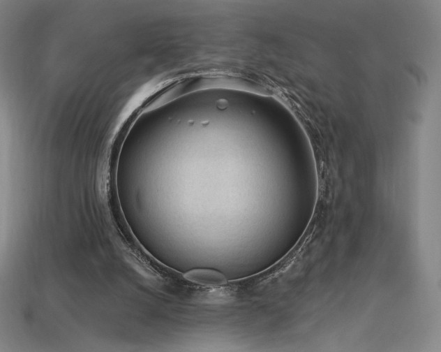 X0000113960056200909251409