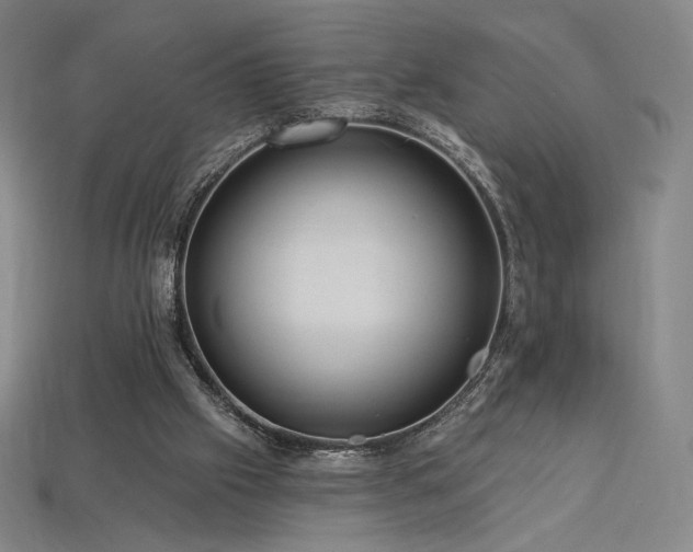 X0000113960057200909251409