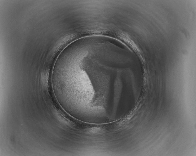 X0000113960058200909251409