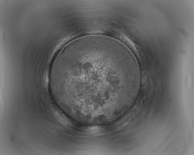 X0000113960059200909251409