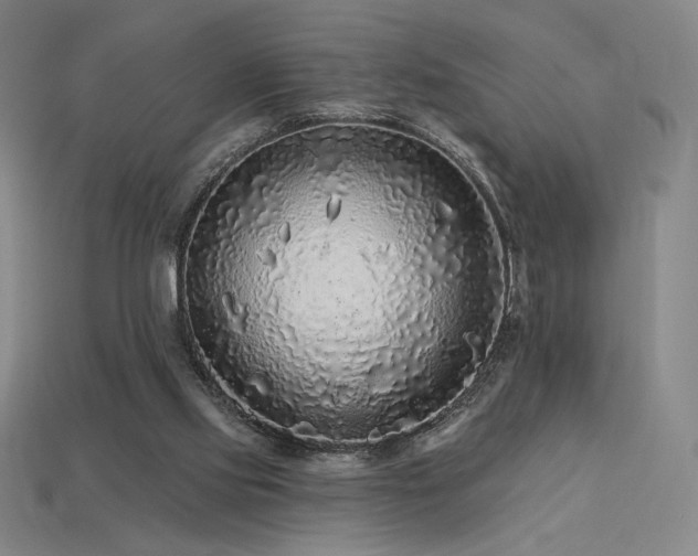 X0000113960061200909251409