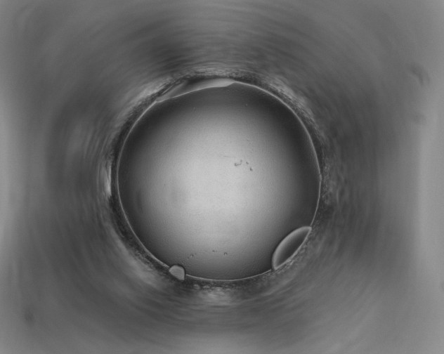 X0000113960062200909251409