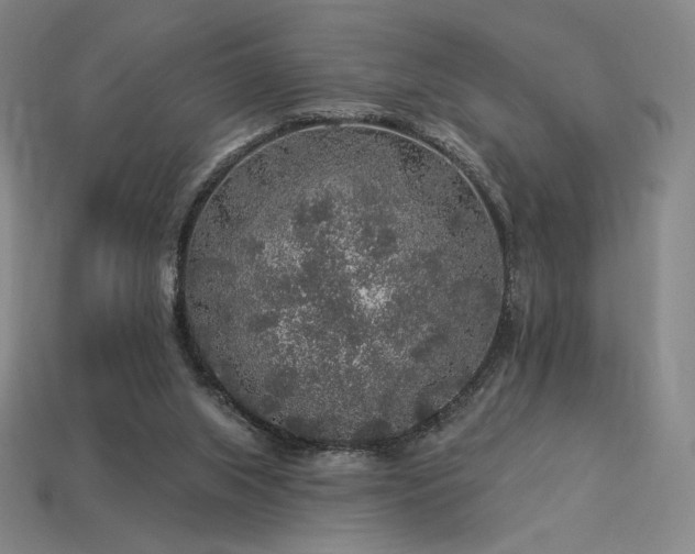 X0000113960063200909251409