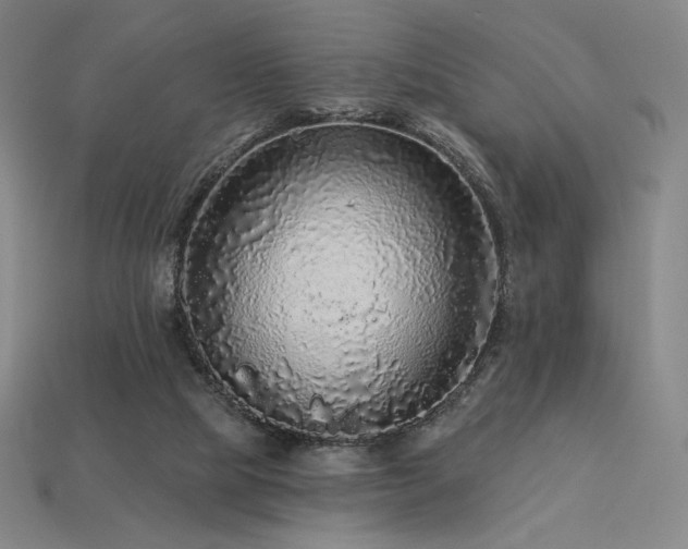 X0000113960065200909251409