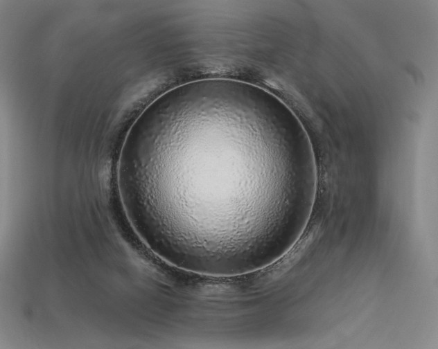 X0000113960066200909251409