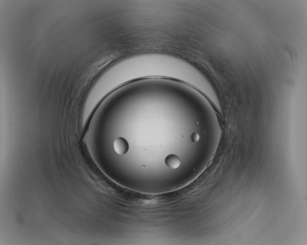 X0000113960068200909251409