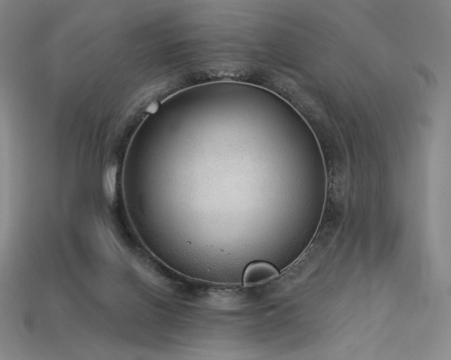 X0000113960070200909251409