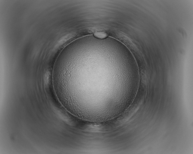 X0000113960071200909251409