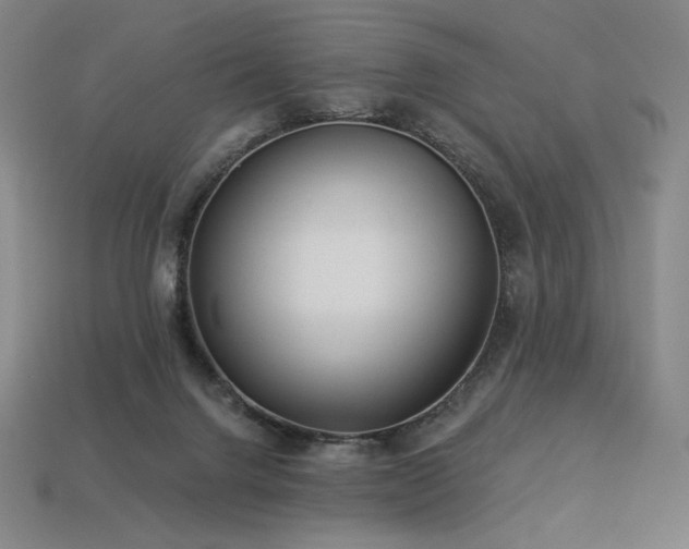 X0000113960072200909251409