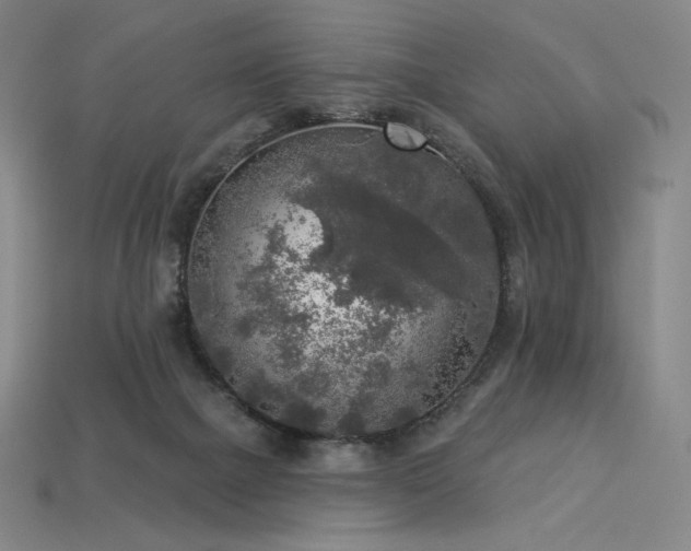 X0000113960073200909251409