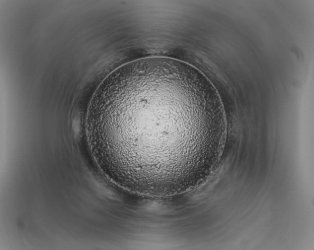 X0000113960074200909251409