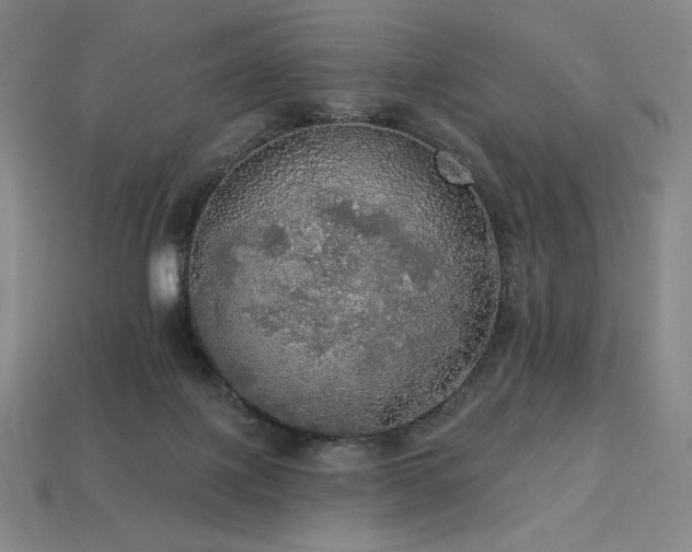 X0000113960075200909251409