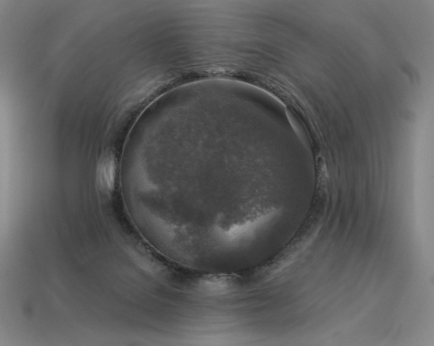 X0000113960076200909251409