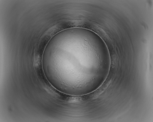 X0000113960077200909251409