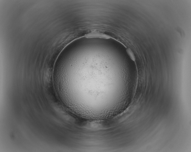 X0000113960078200909251409