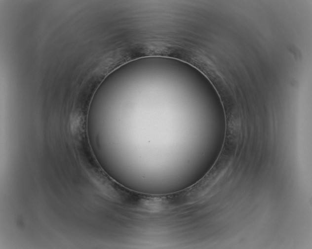 X0000113960079200909251409