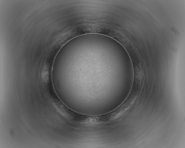 X0000113960080200909251409