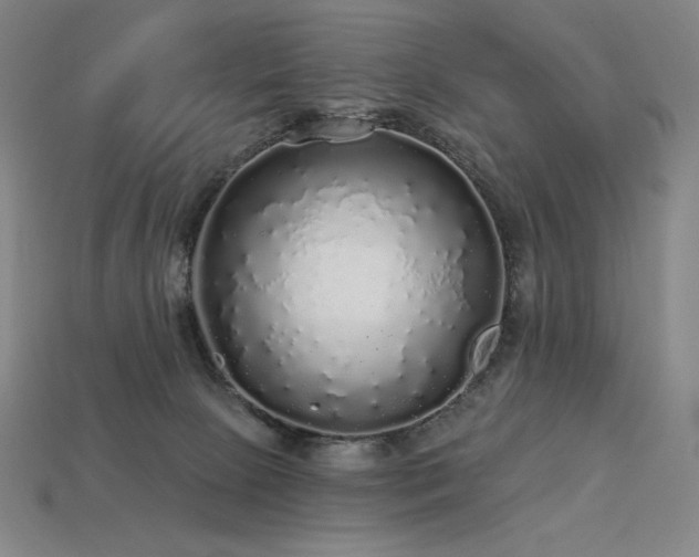 X0000113960081200909251409